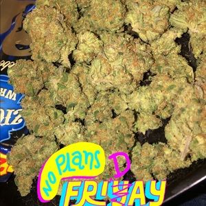 Meet your Posher, Jose